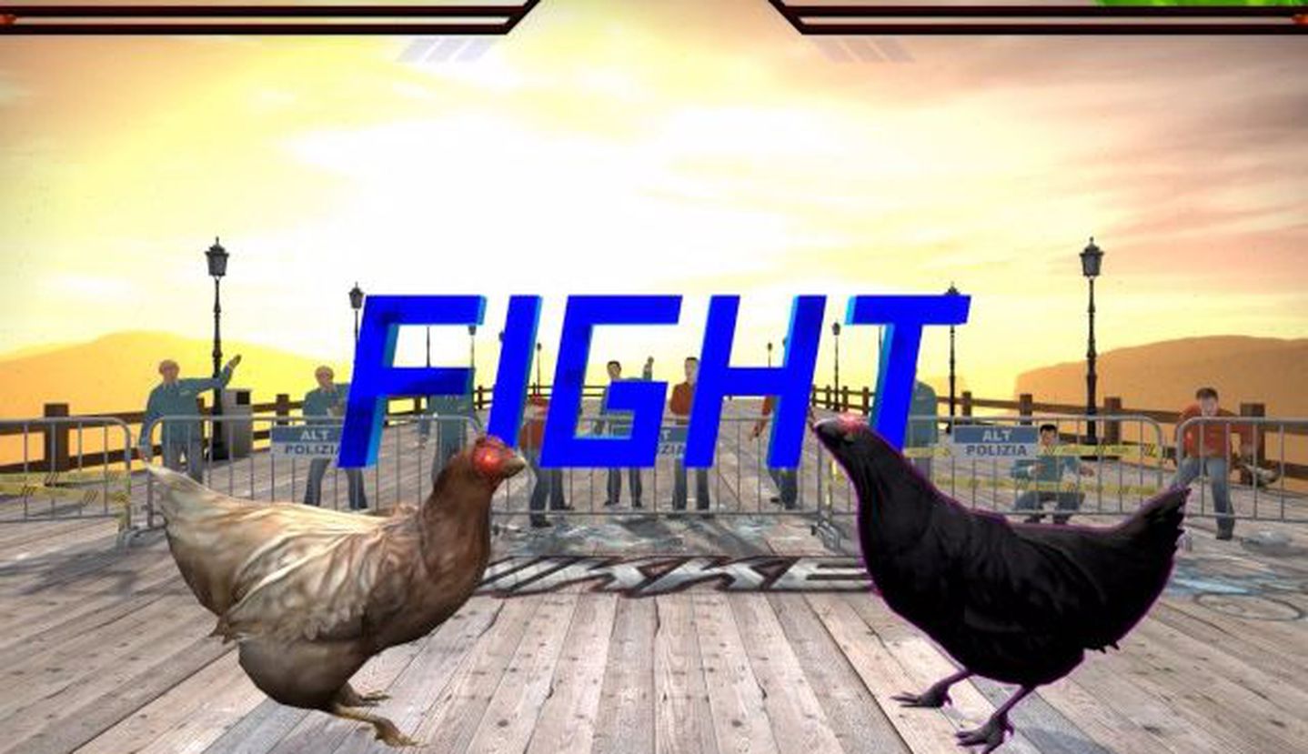 This is a 2D fighting game in the style of Tekken, except the fighters are chickens...