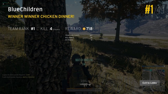 Winner Winner Chicken Dinner