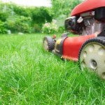 Mow your lawn this Saturday and get a free video game about mowing your lawn